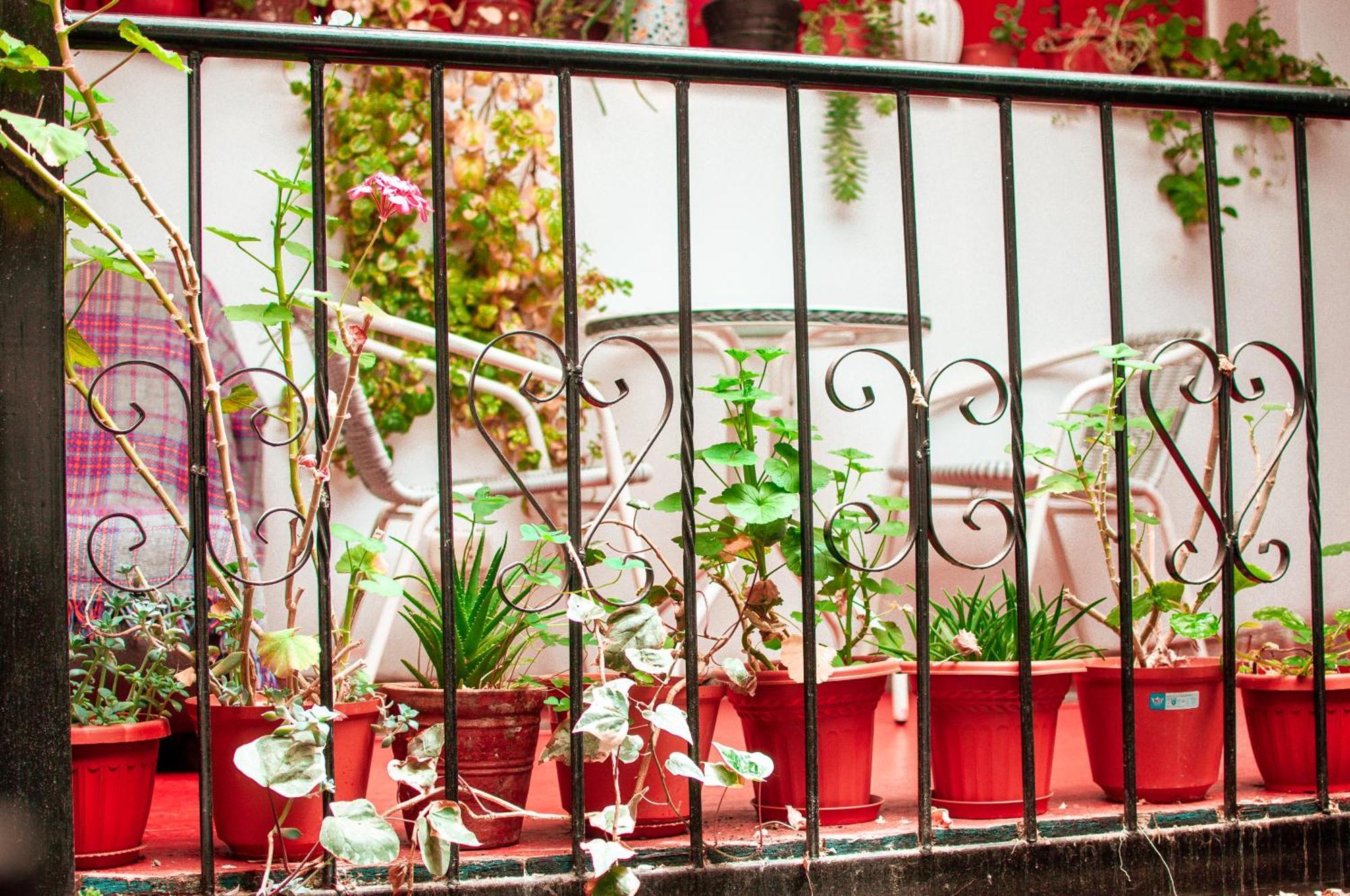 La Casa De Laura - Plaza Hotel Cusco Bagian luar foto